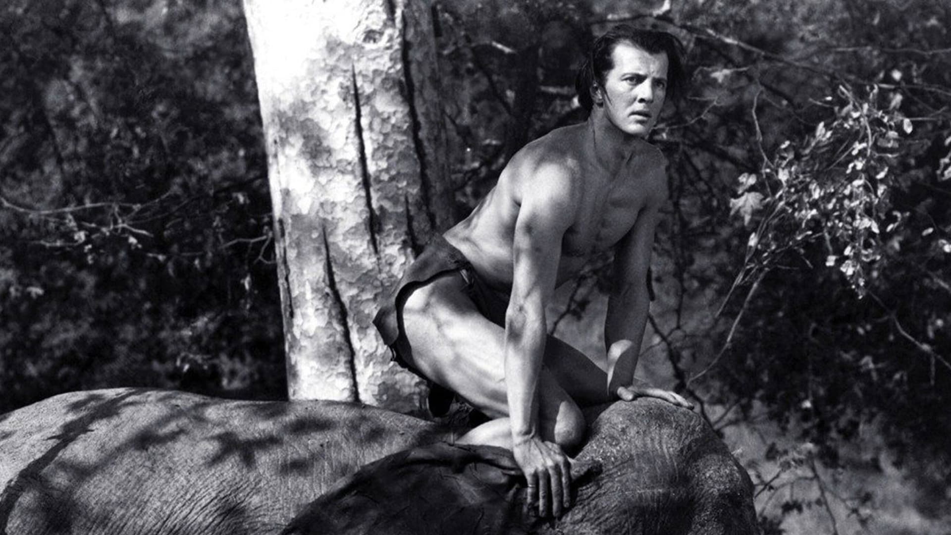 Tarzan and the Green Goddess