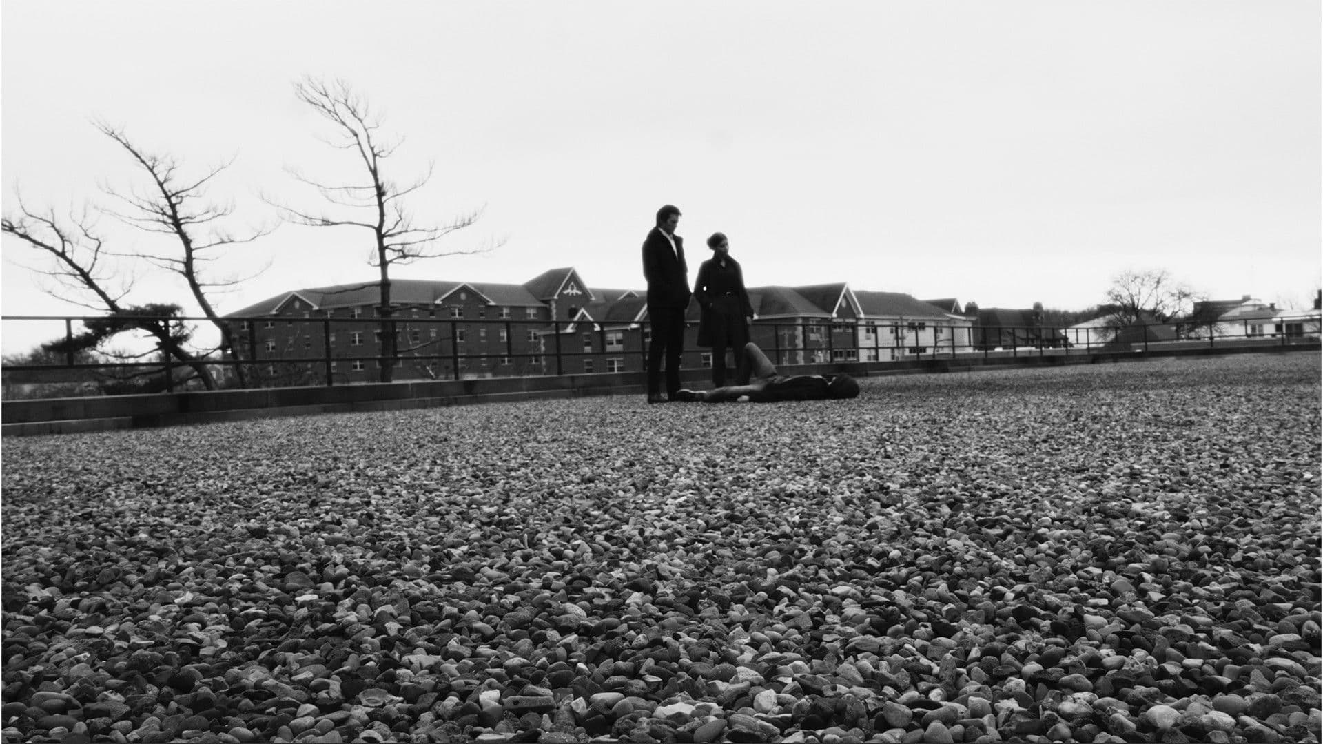 Last Night in Urbana