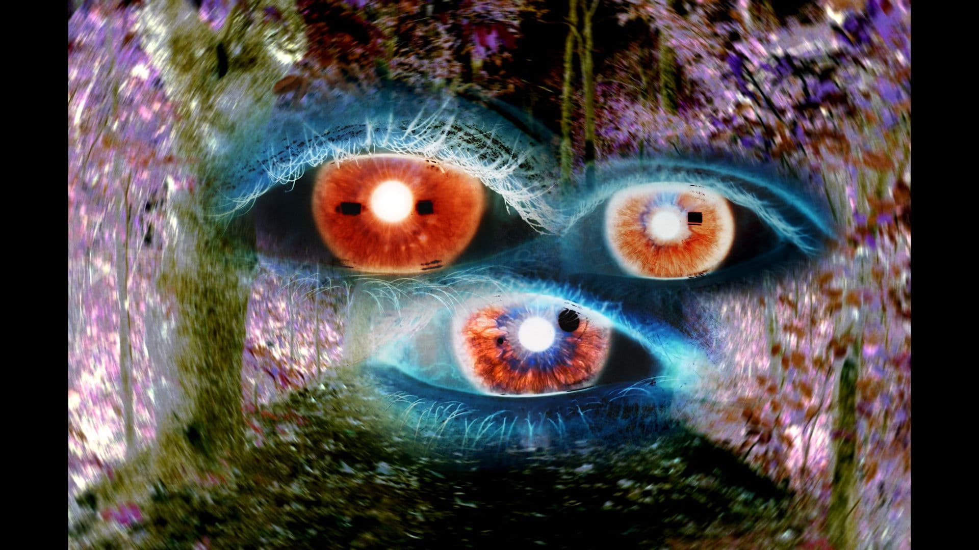 พื้นที่ไร้เสียง