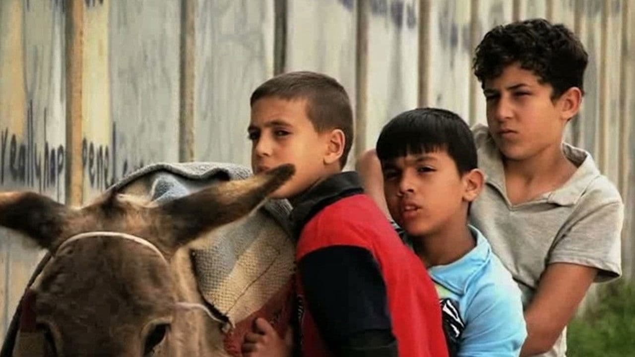 ولد، جدار وحمار