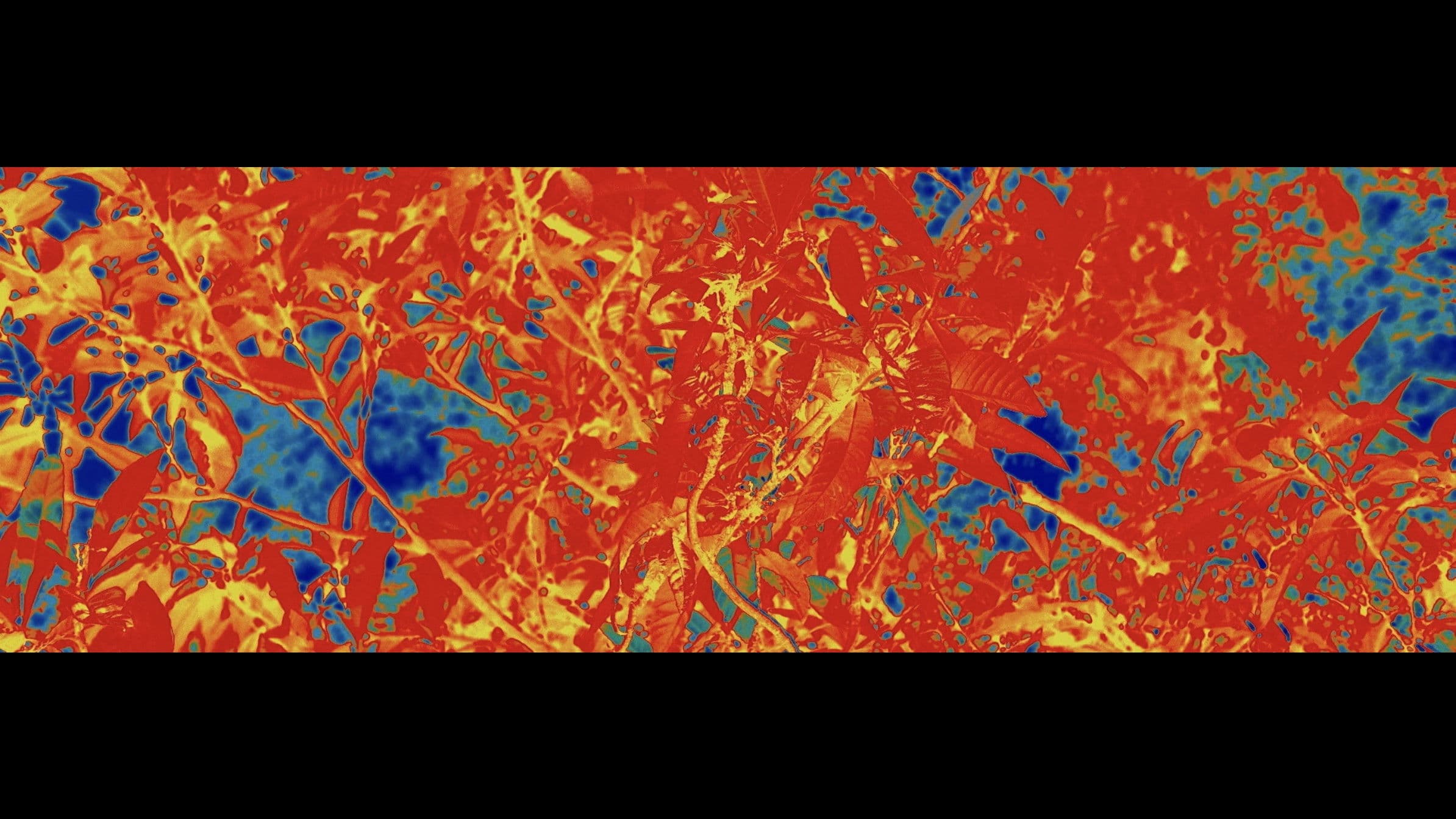 Computational Compost