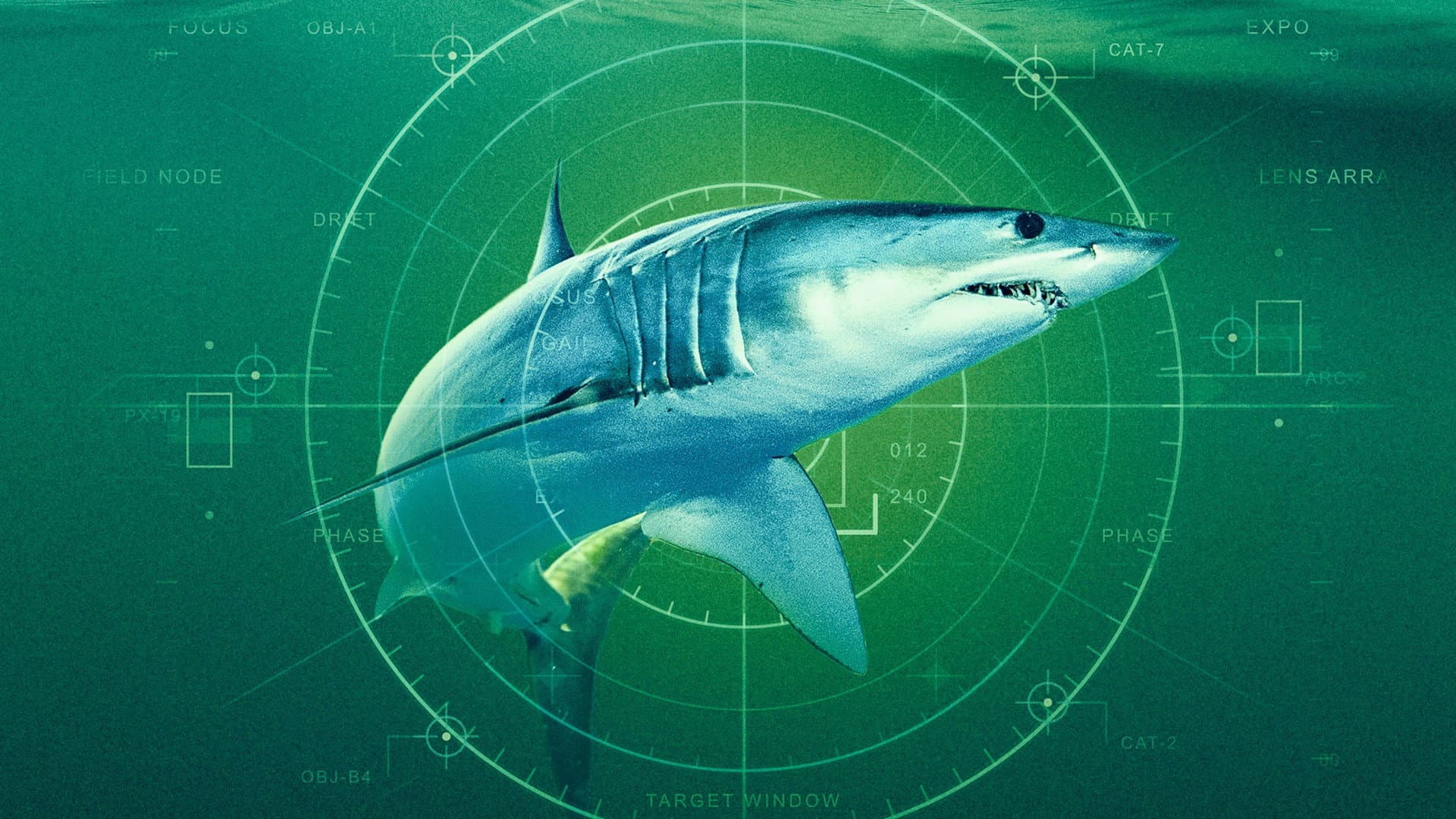 World's Biggest Mako