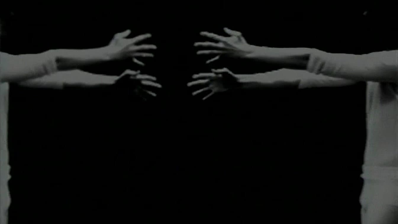 Environmental Symmetry