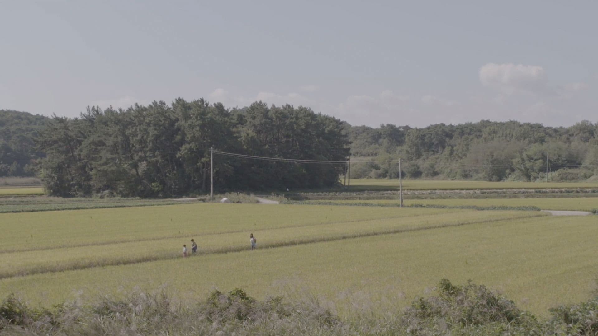 여름에 내린 눈