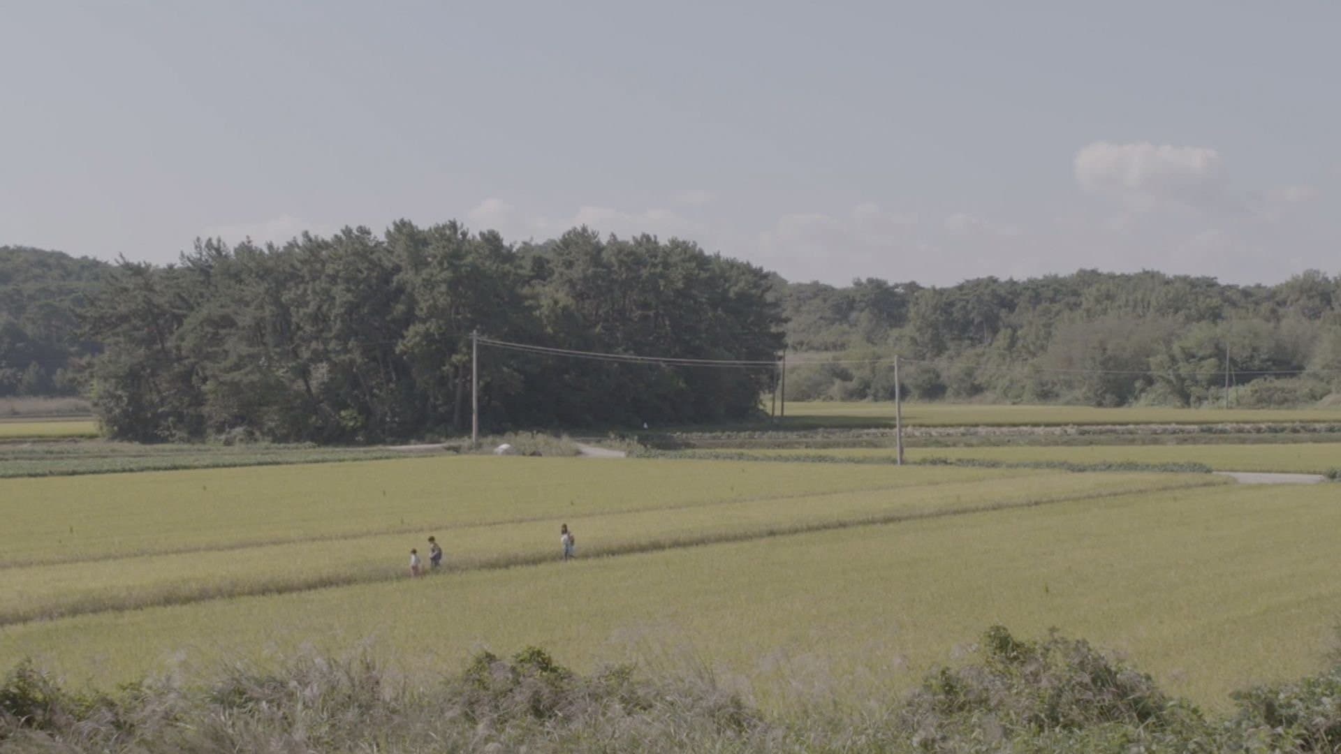 여름에 내린 눈