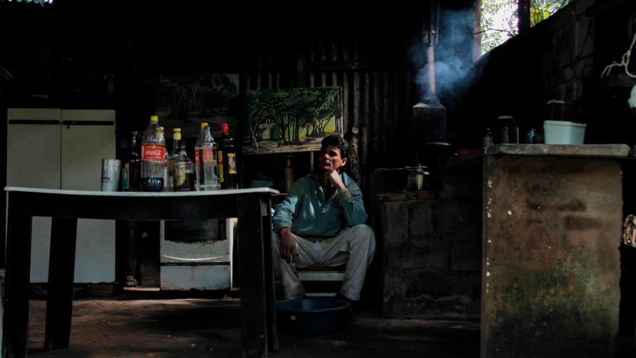 Imagem e Semelhança