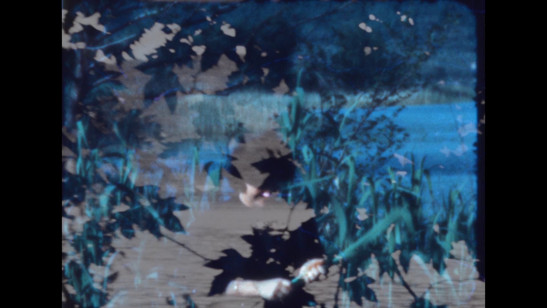 Forse i sogni devolvono le ossa