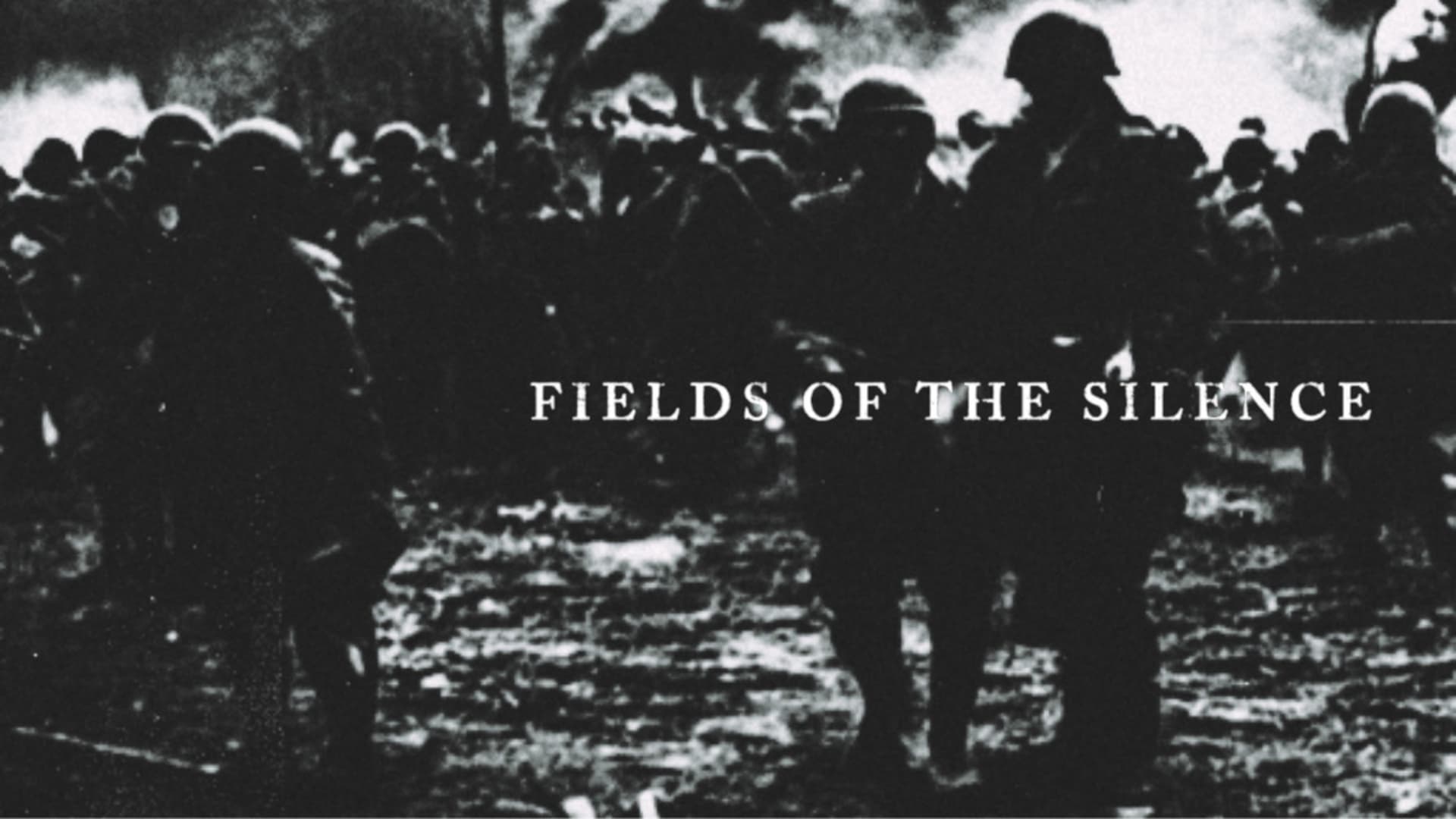 Fields Of The Silence