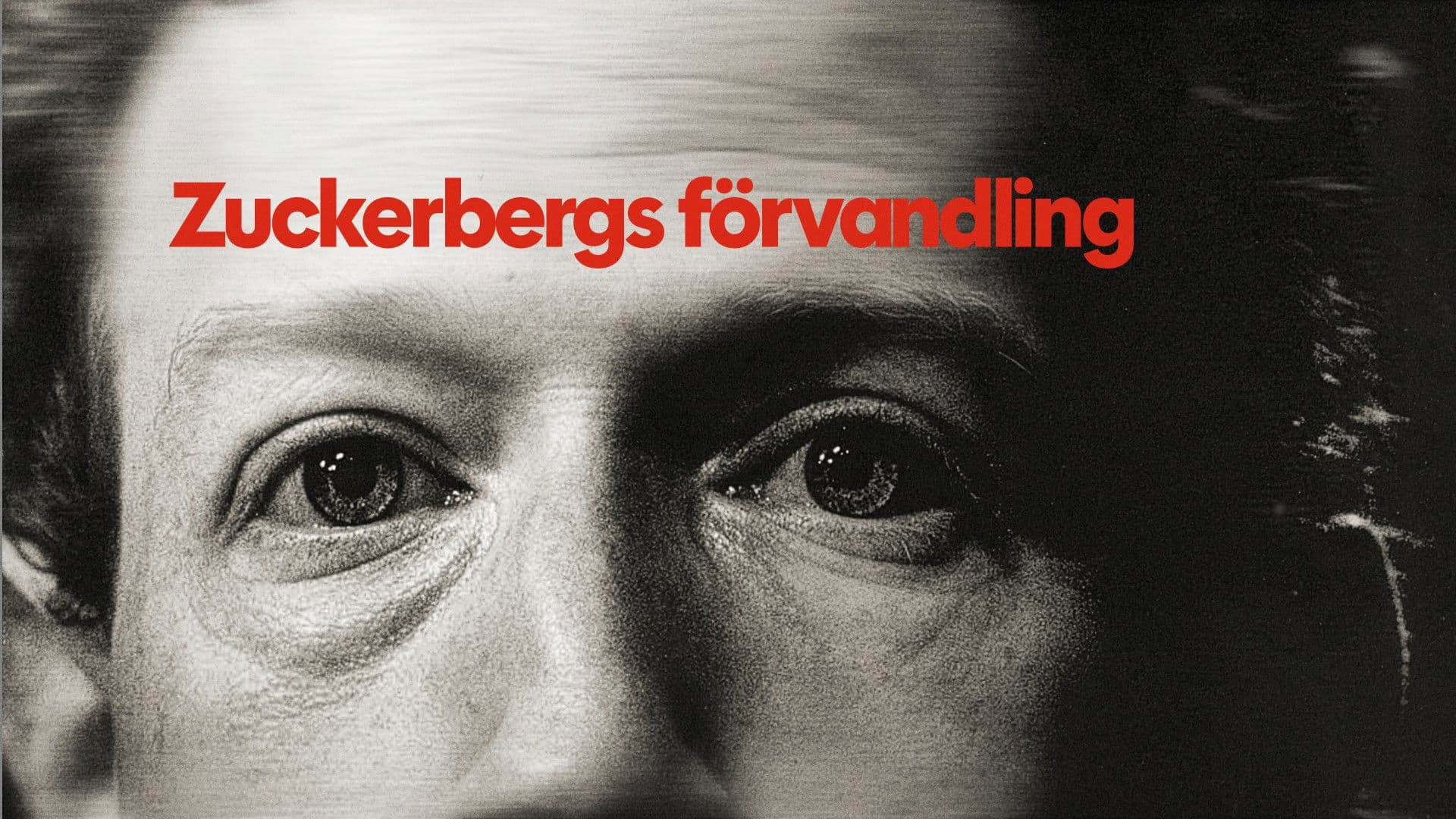 21h Médias : Méfiez-vous de Zuckerberg