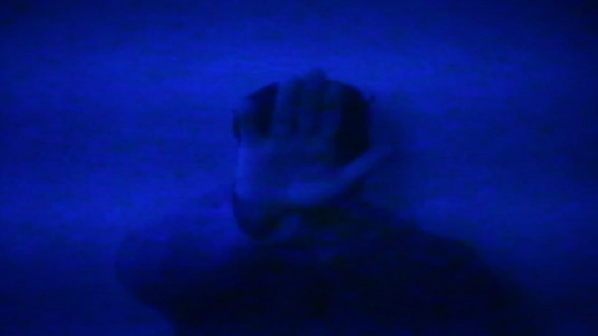 HSP: There Is No Escape from the Terrors Of the Mind