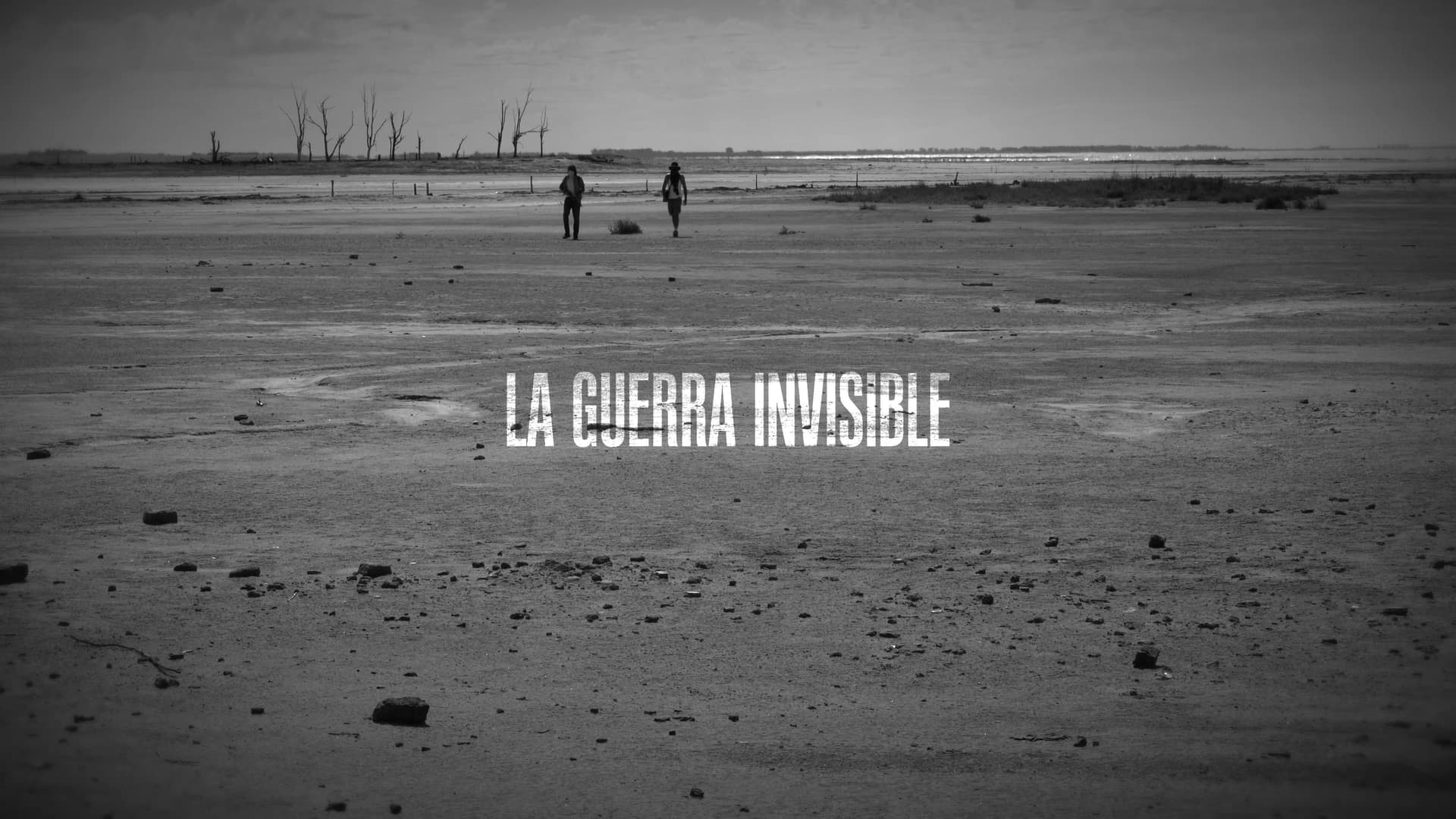 La guerra invisible