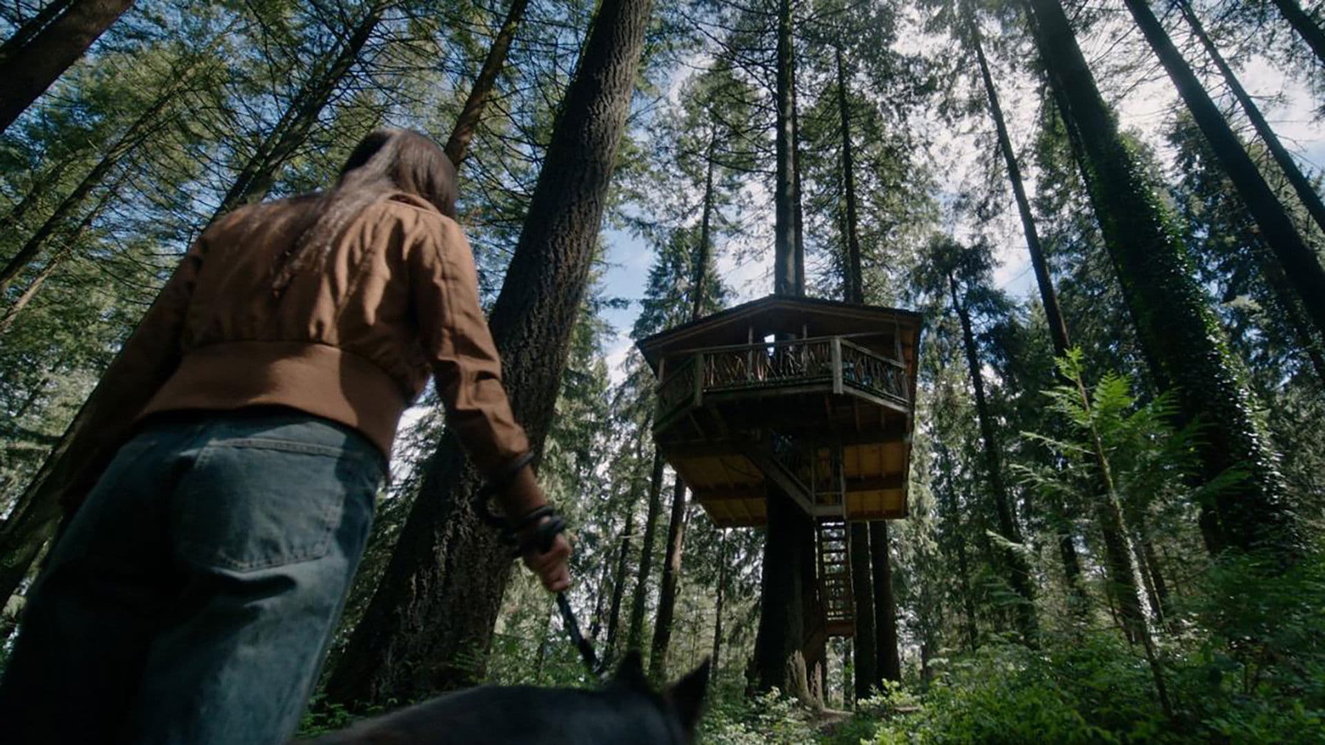 La casa en el árbol