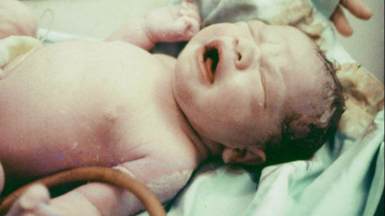 Vida de Mãe é Assim Mesmo?