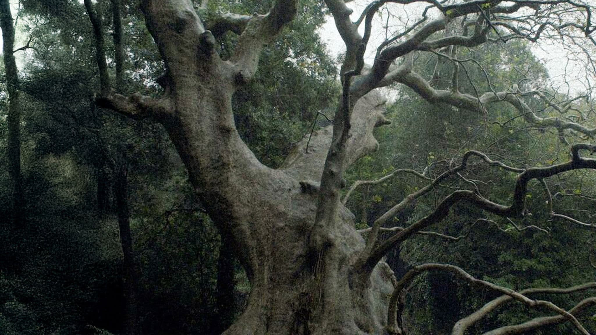 Nuovo cinema paralitico