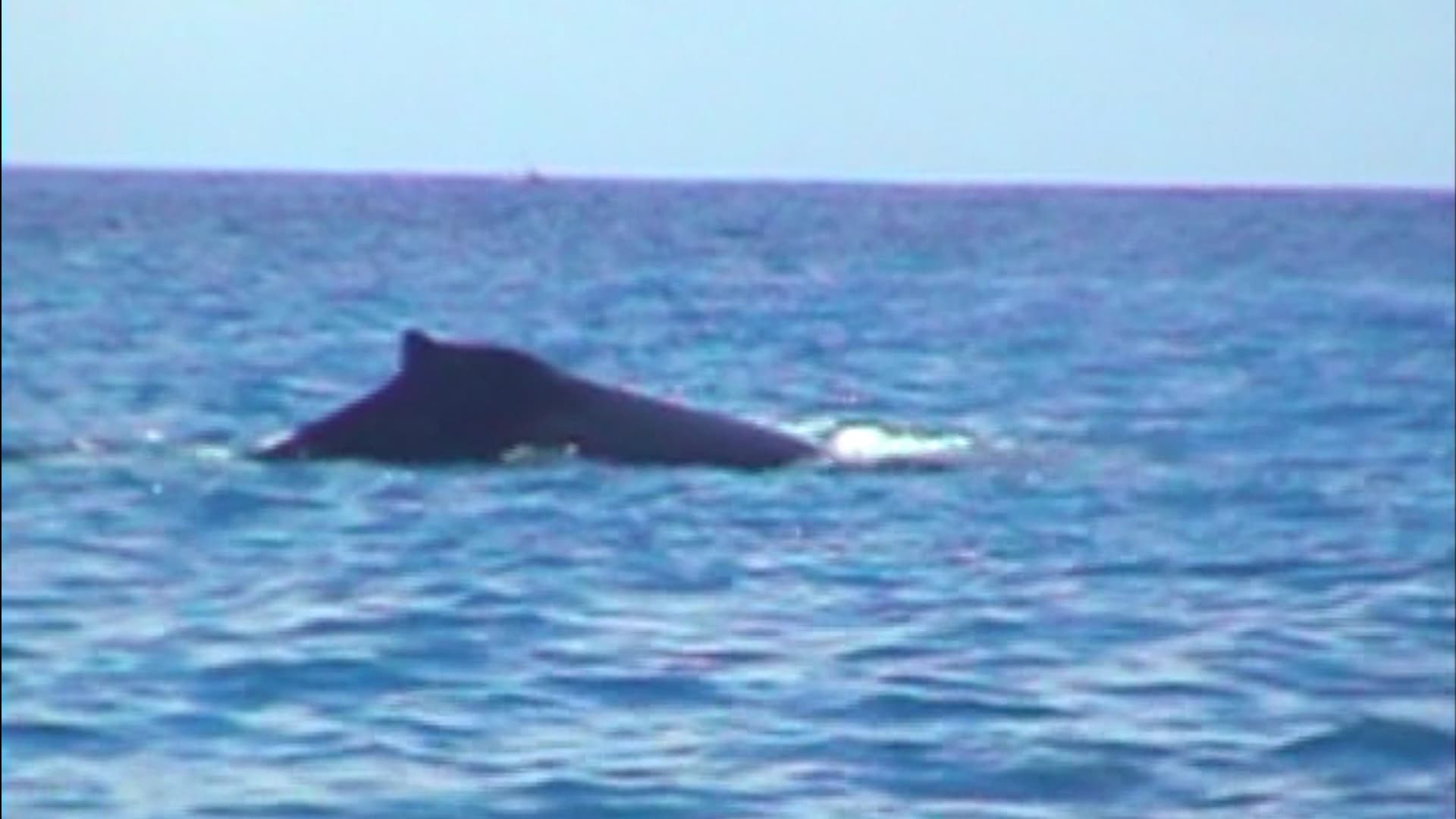 The Nature of God in Nature