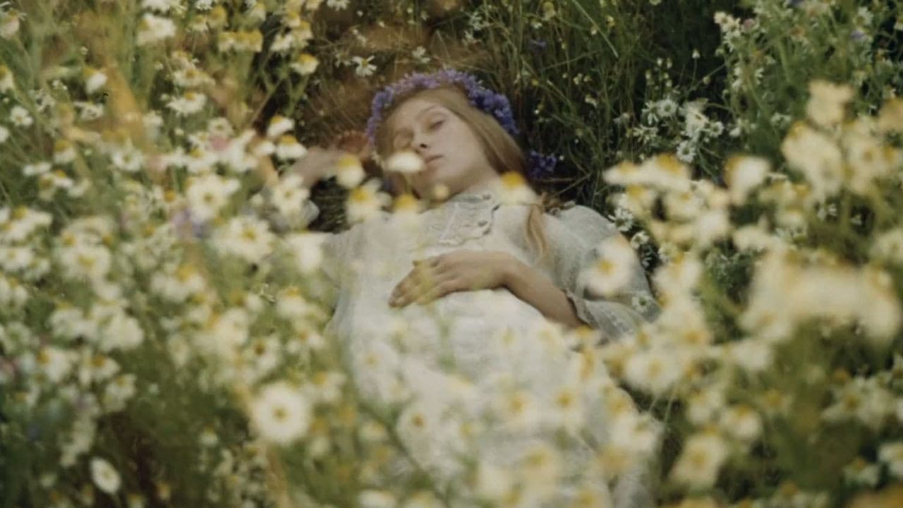 Раскиданное гнездо