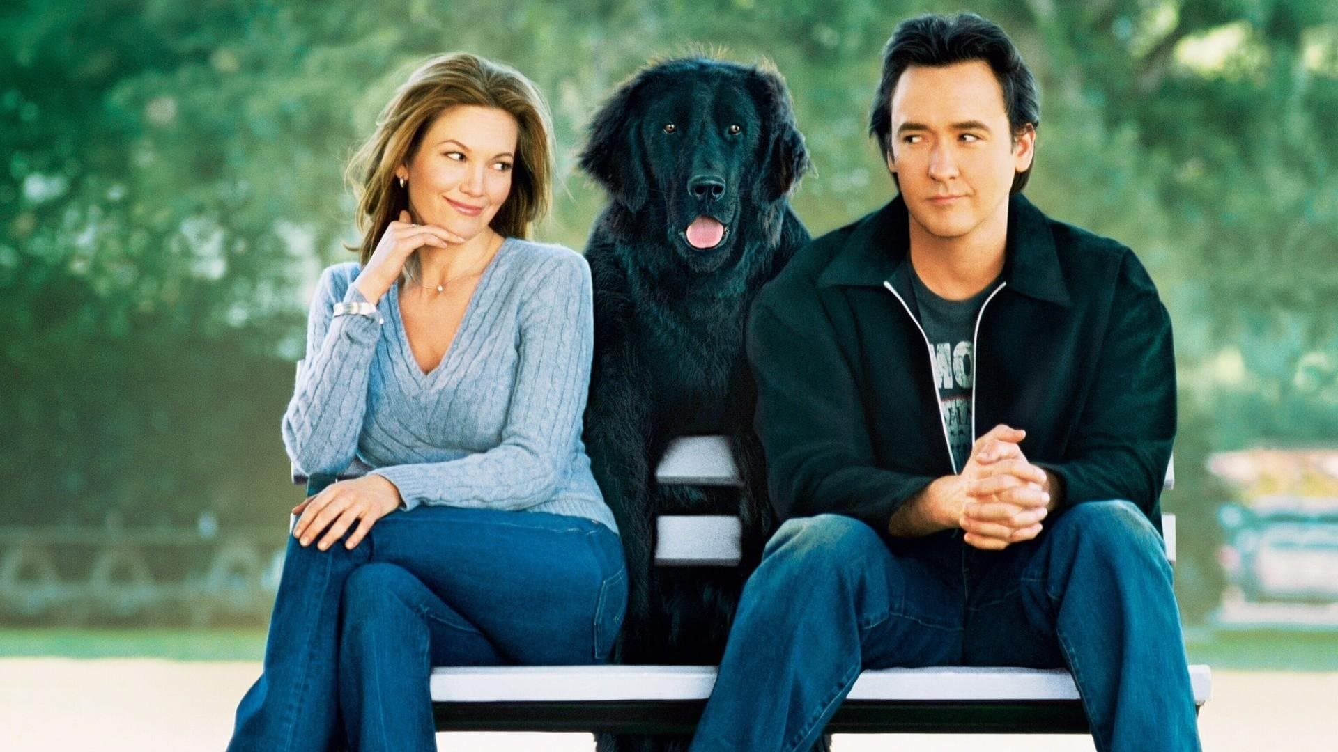 Trebuie să iubească câinii