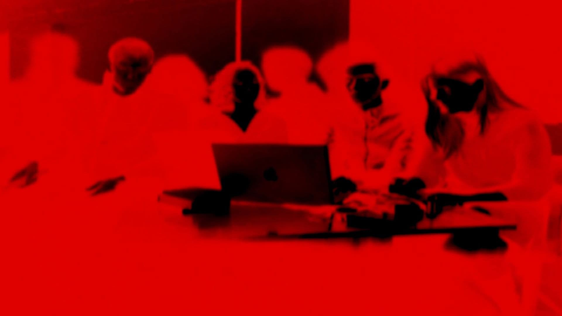 Saxifrages, quatre nuits blanches