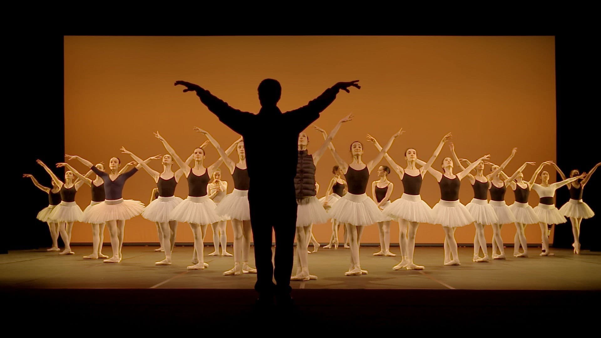 Seule la danse, une année au conservatoire de Paris