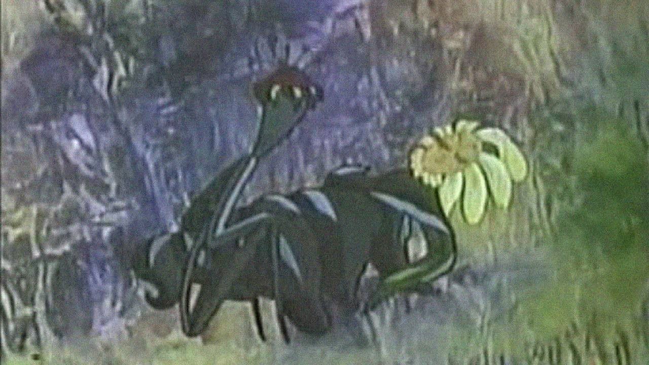 პანტაზია