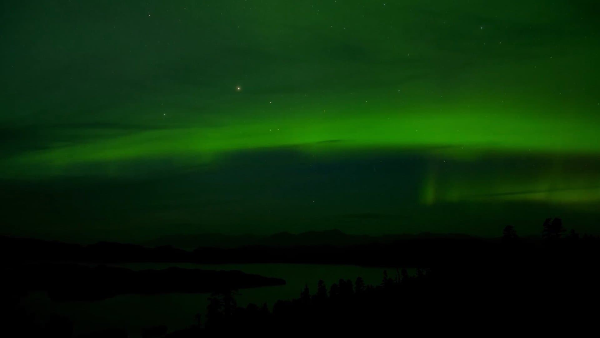 Stele pe cer: O perspectivă asupra vânătorii