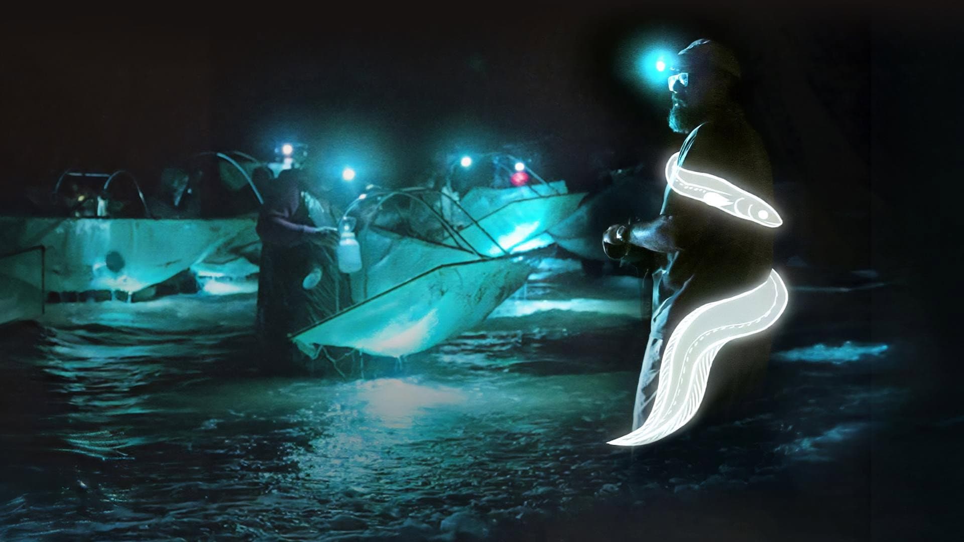 Milliarden Dollar Babies: Große Gewinne mit kleinen Aalen