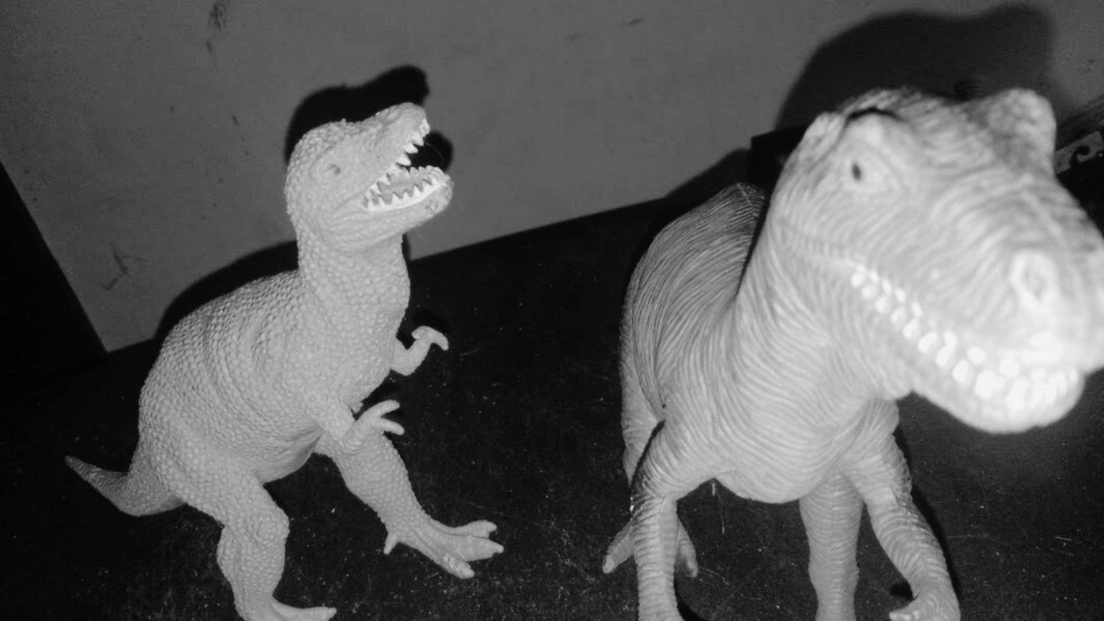 Dinosaur Farm B&W