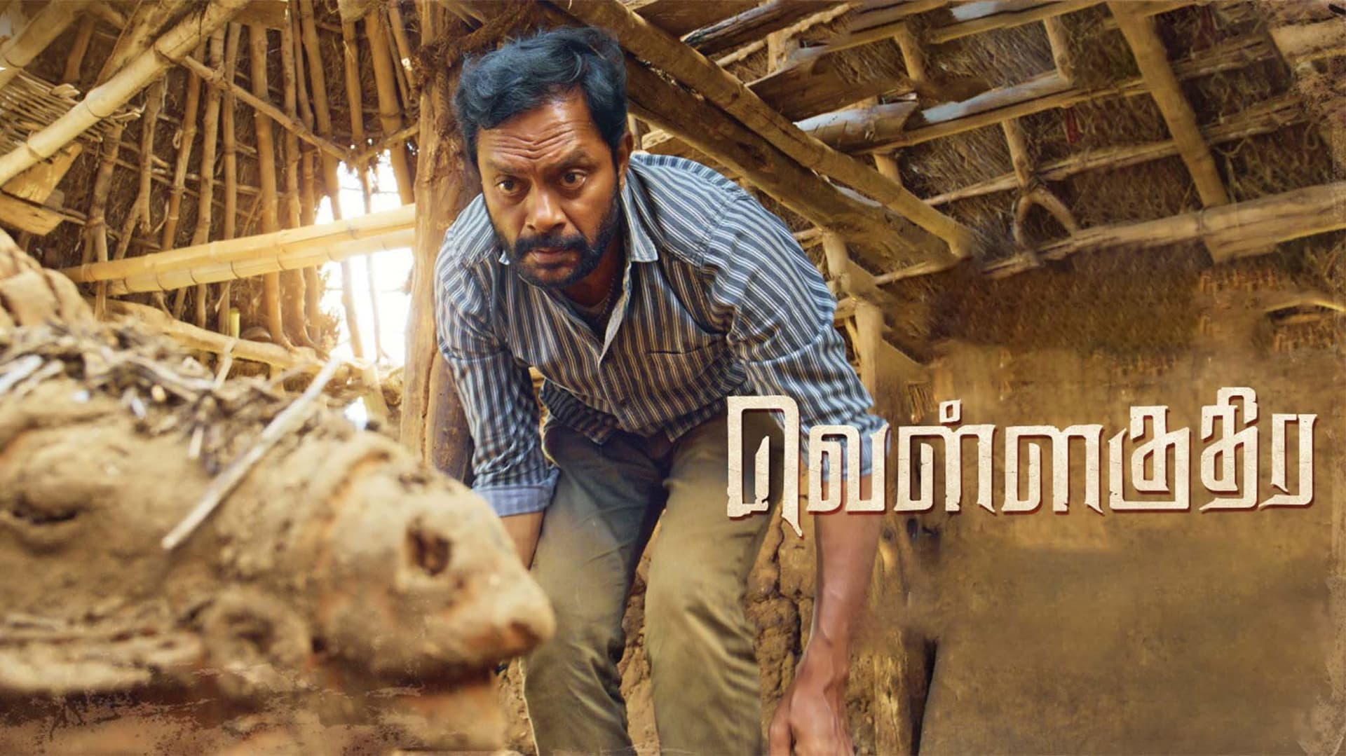 வெள்ளகுதிர