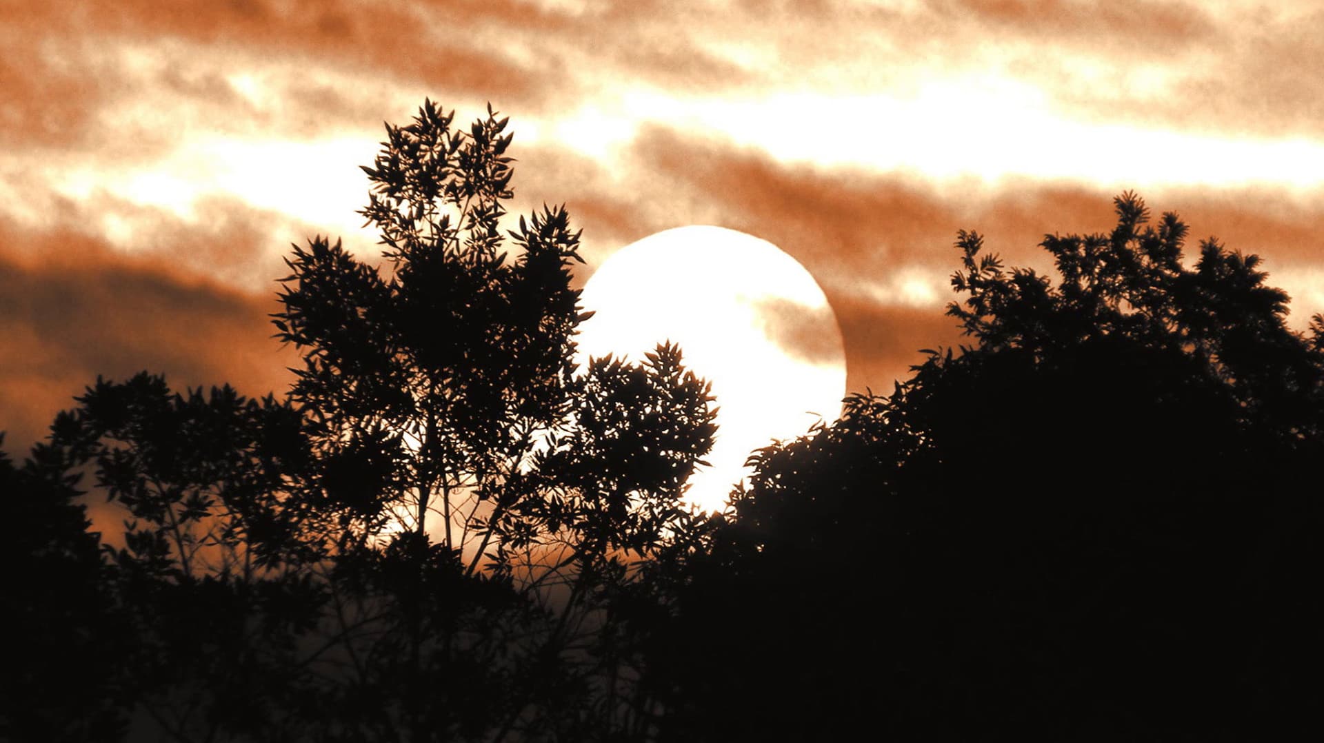 The Snow Behind the Sun