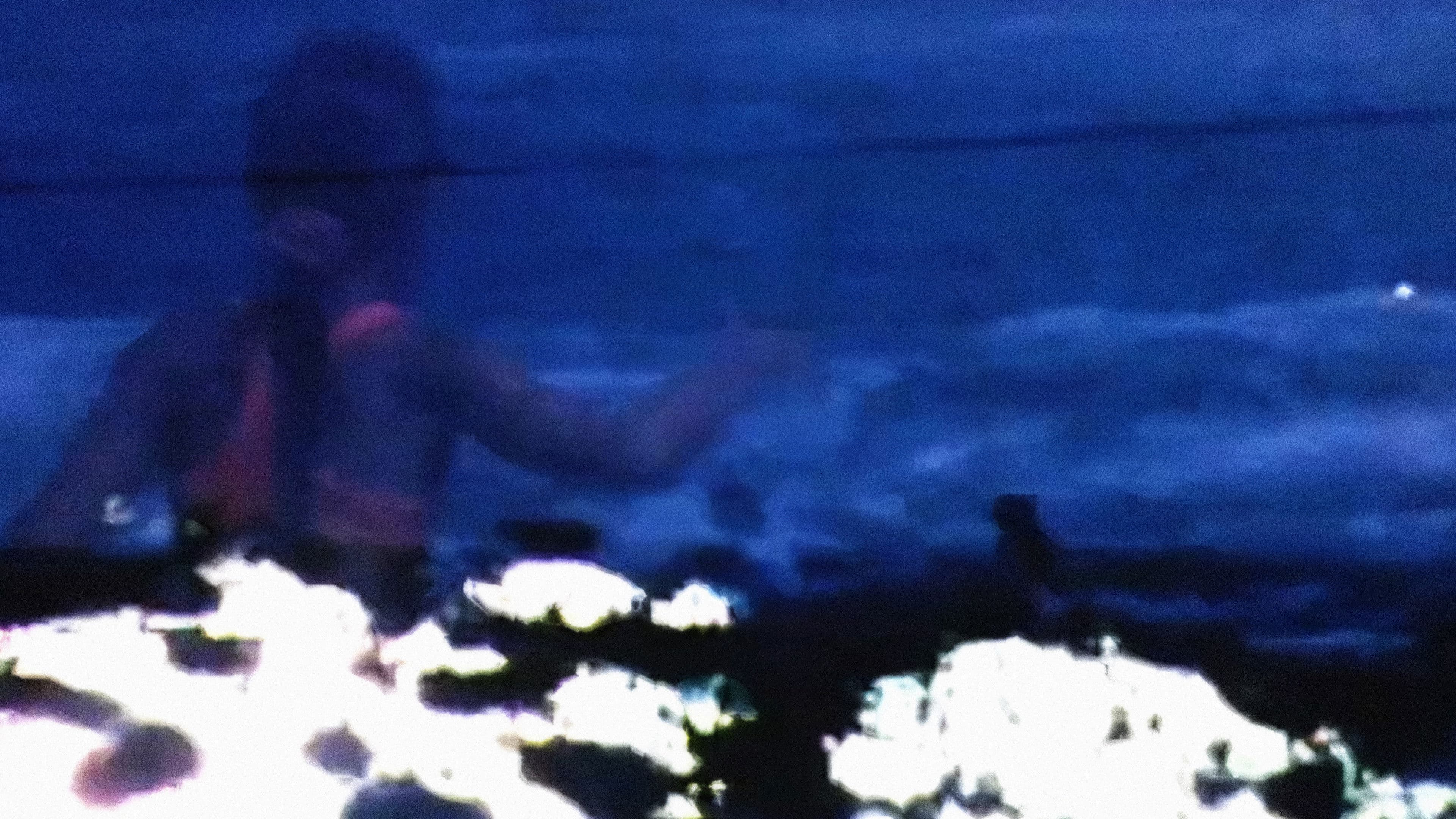 Floating under a Honey Tree