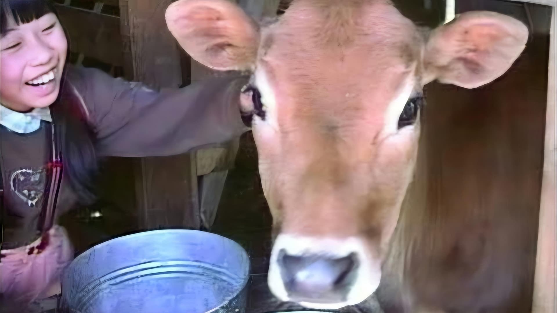 もう一つの教育〜伊那小学校春組の記録〜