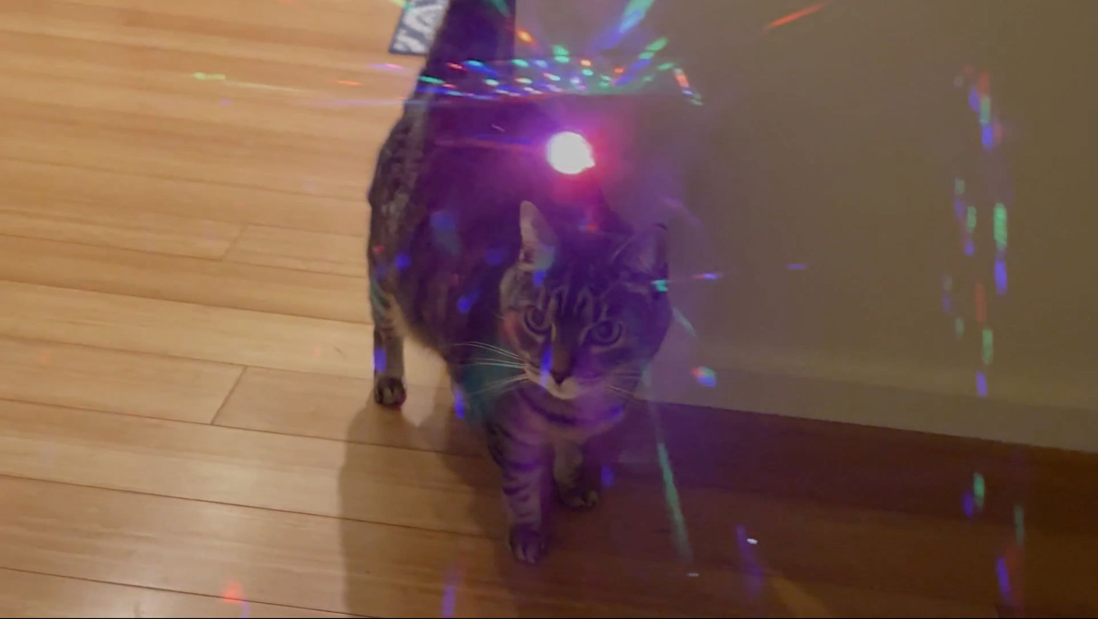 Another Annette Bening Mug