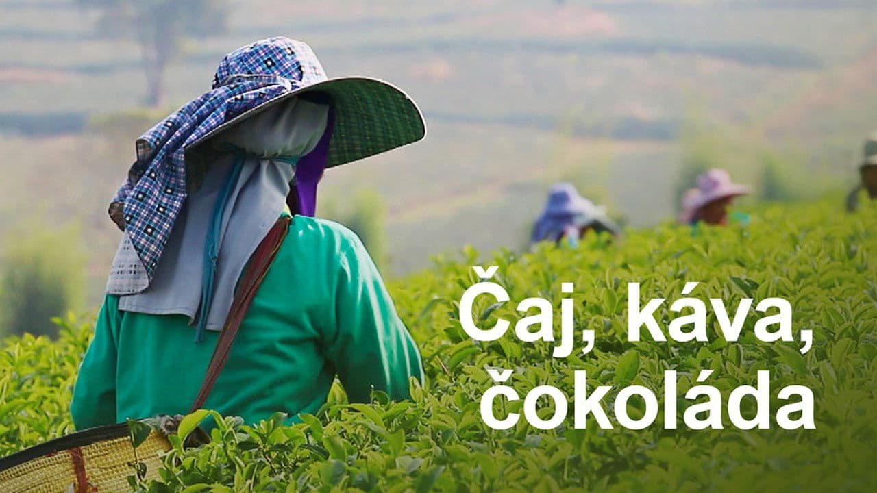 Thé, café ou chocolat - l'histoire dans nos tasses