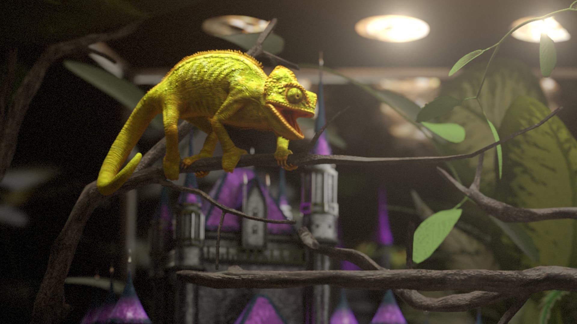 Reședințe pentru reptile