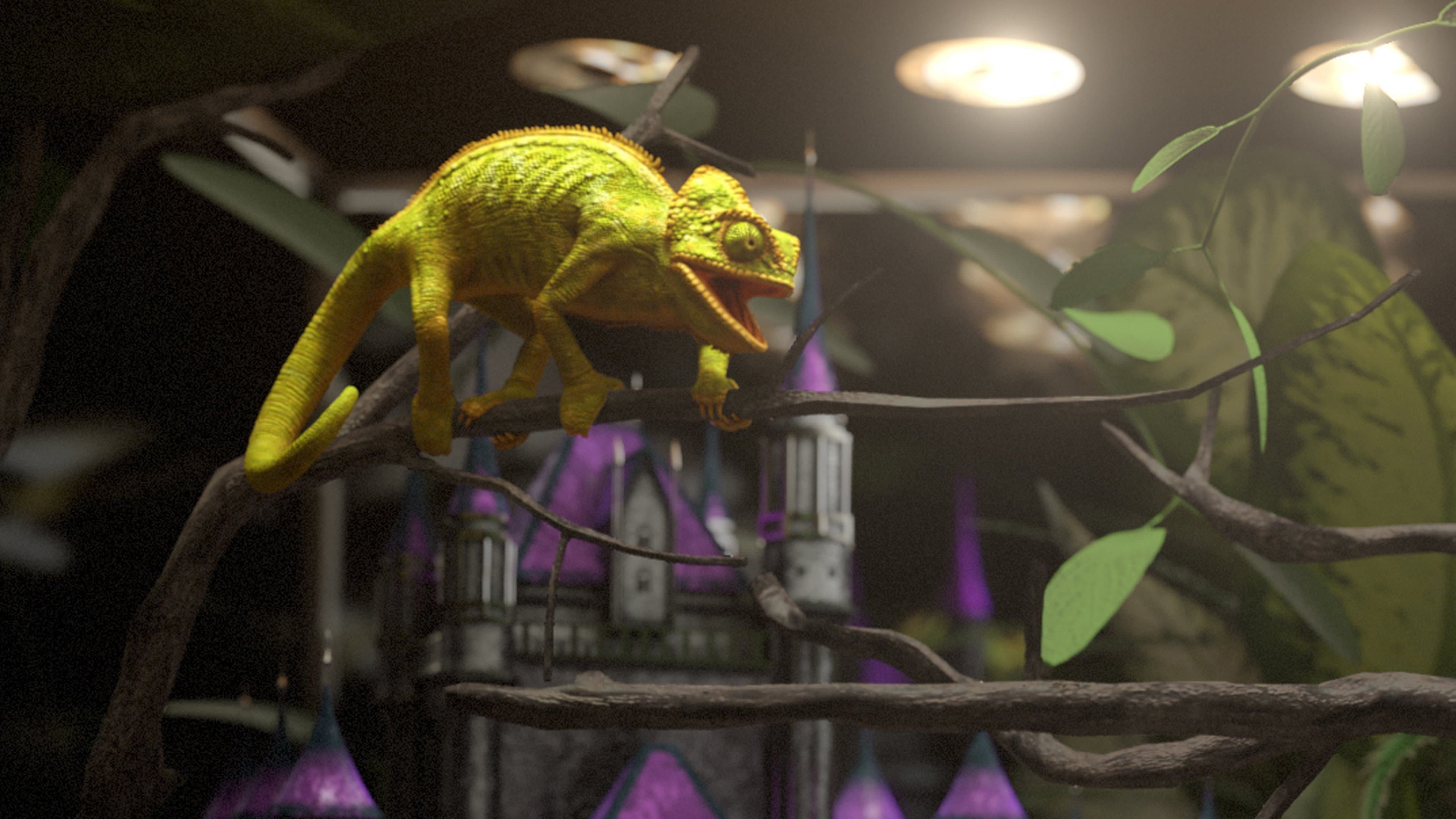 Reședințe pentru reptile