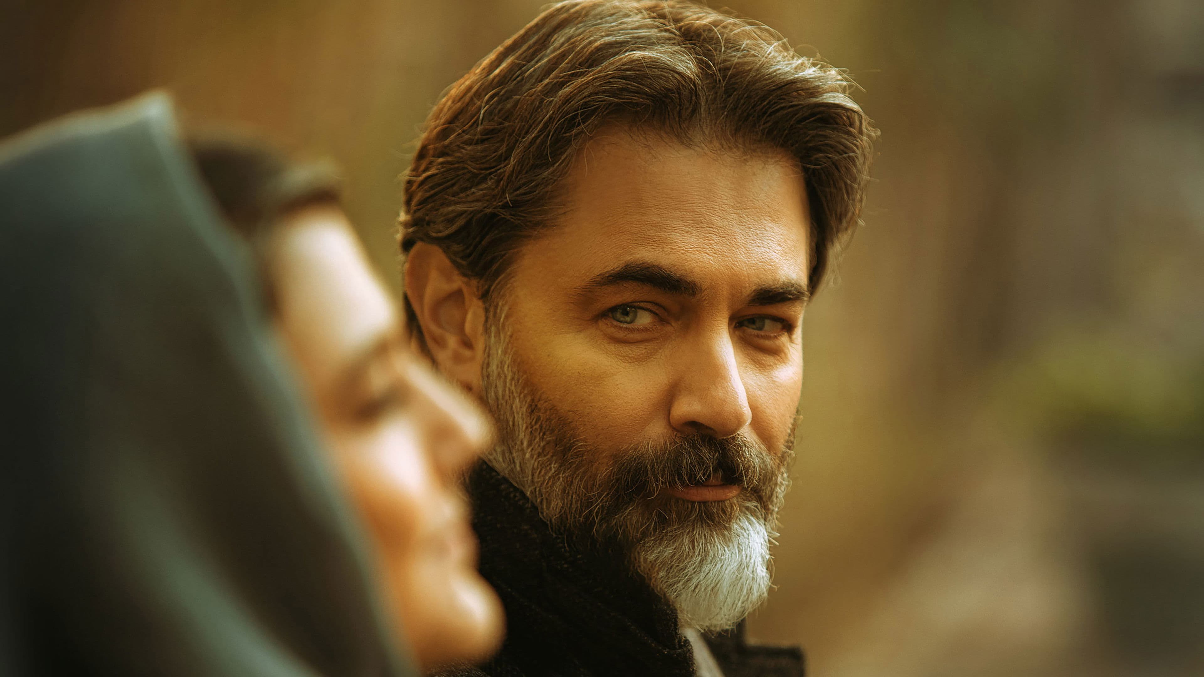 در انتهای شب