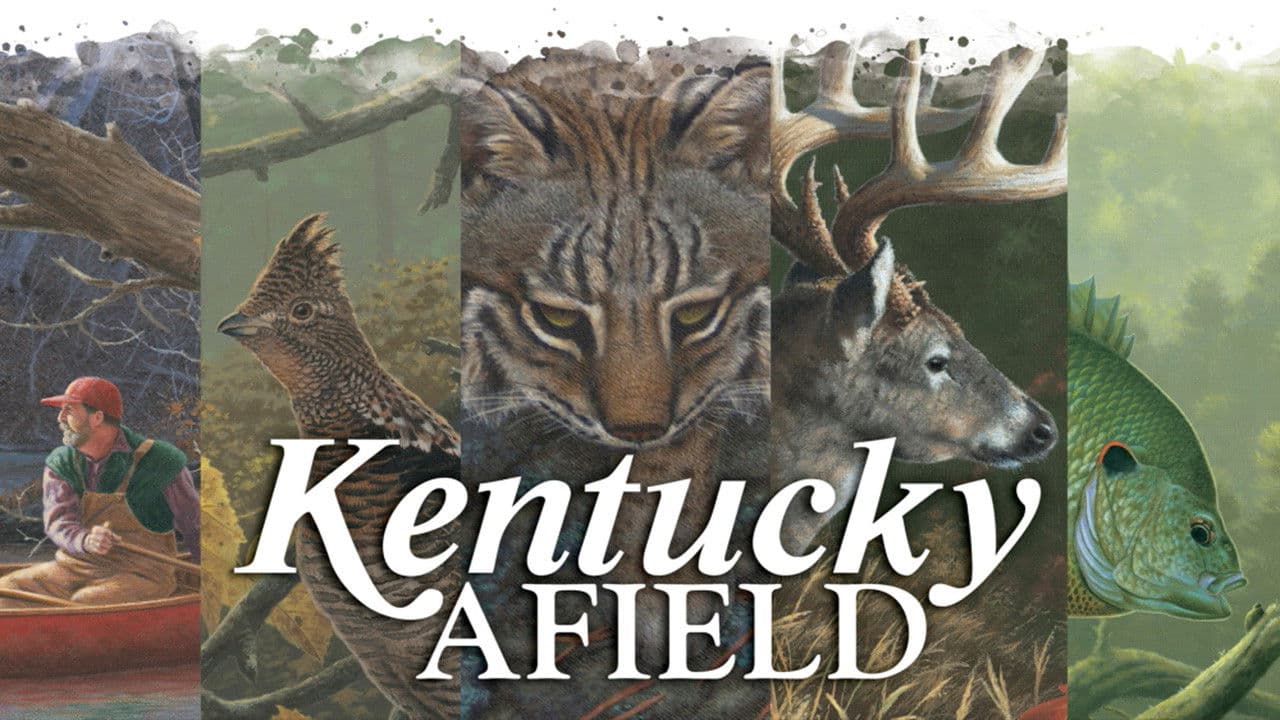 Kentucky Afield