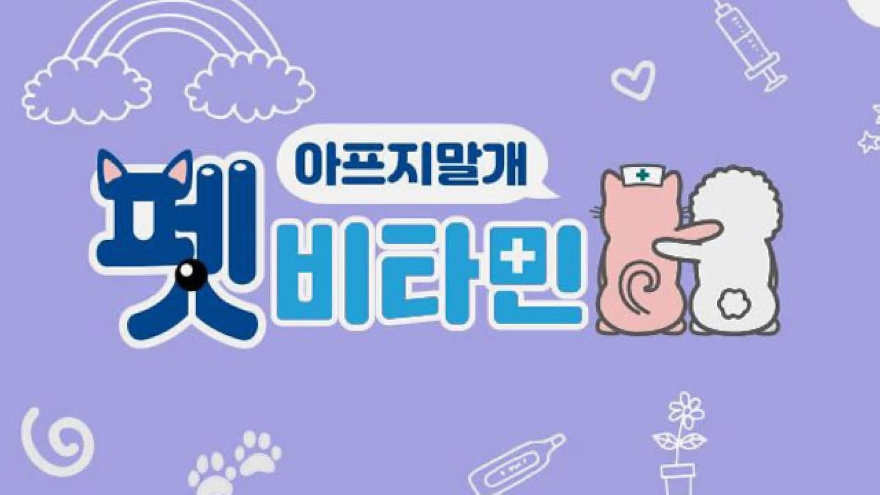 펫 비타민