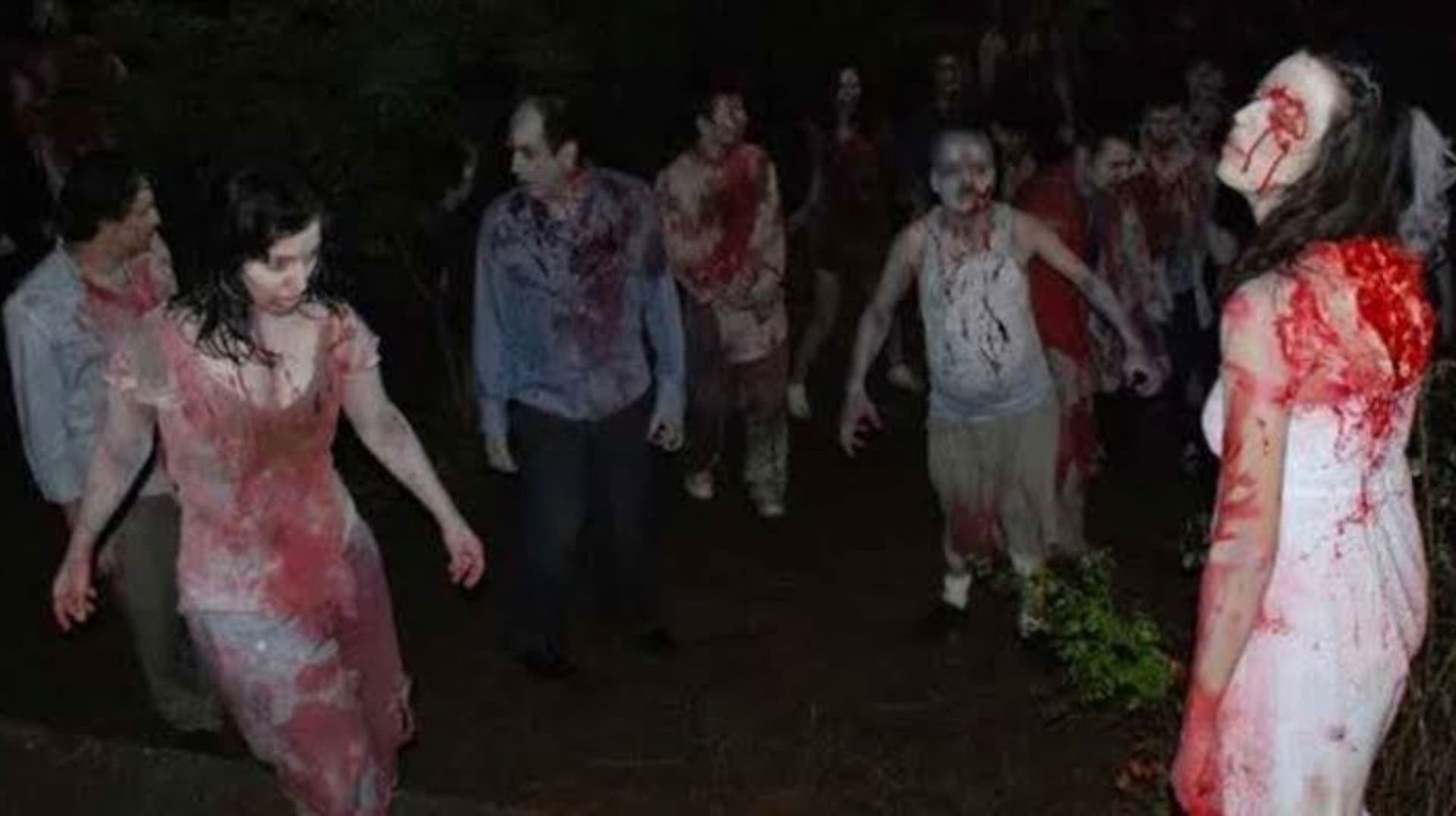 Ada: Zombilerin Düğünü