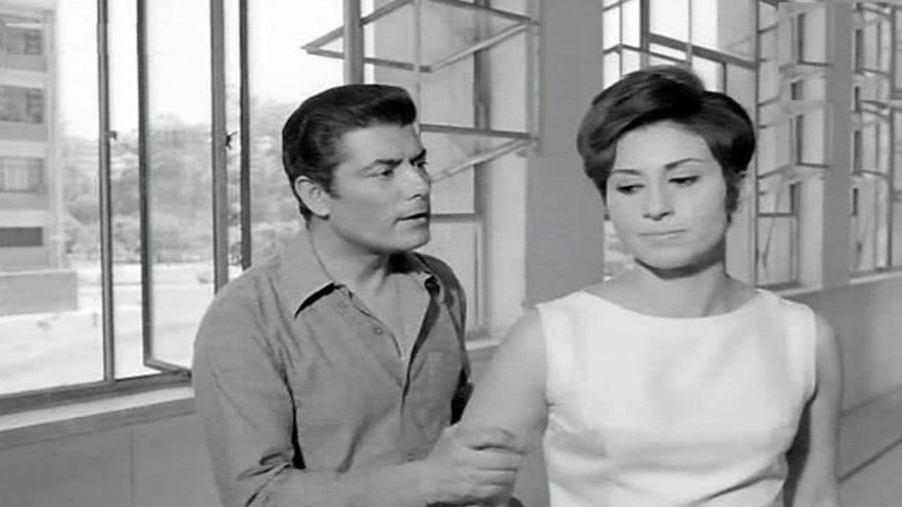 بنات في الجامعة