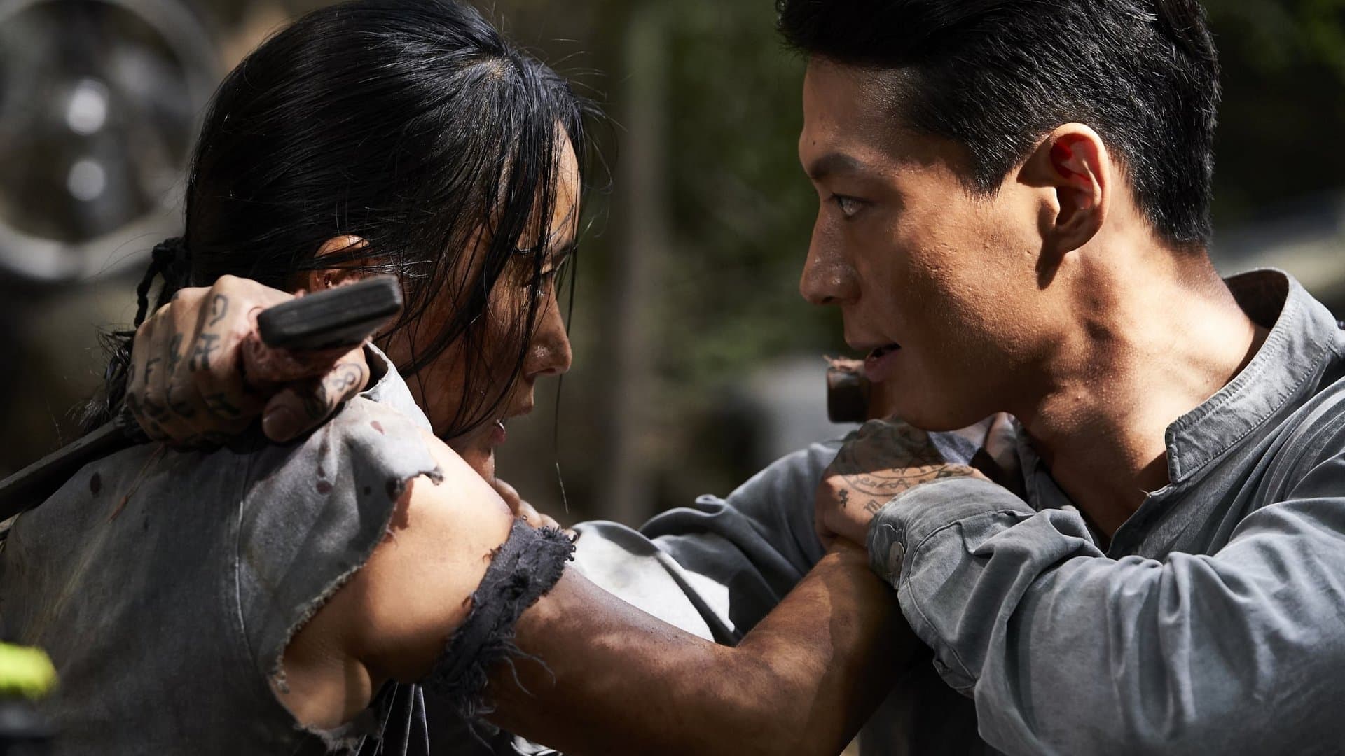 Puterea răzbunării