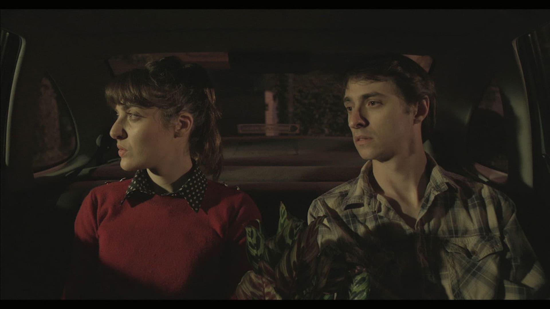 Una idea de la vida cotidiana