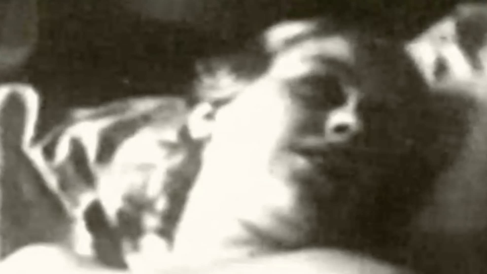 The Busy Lesbian Club