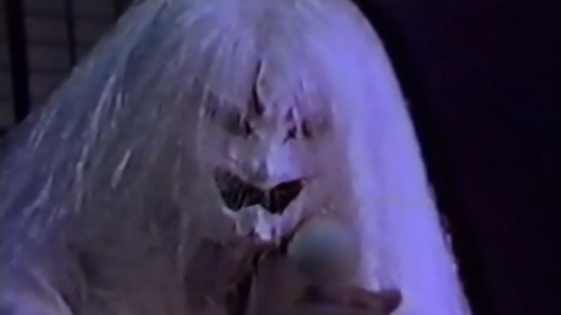 ゲゲゲの鬼太郎