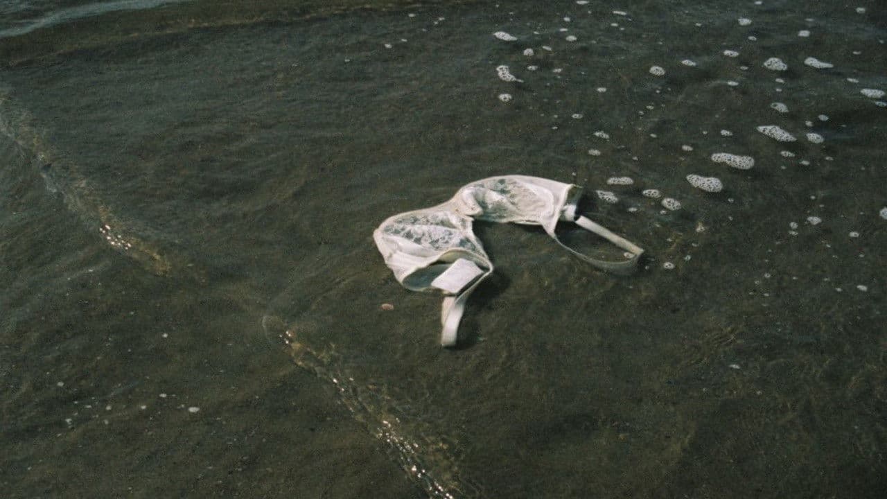 Souvenirs d'une journée parfaite