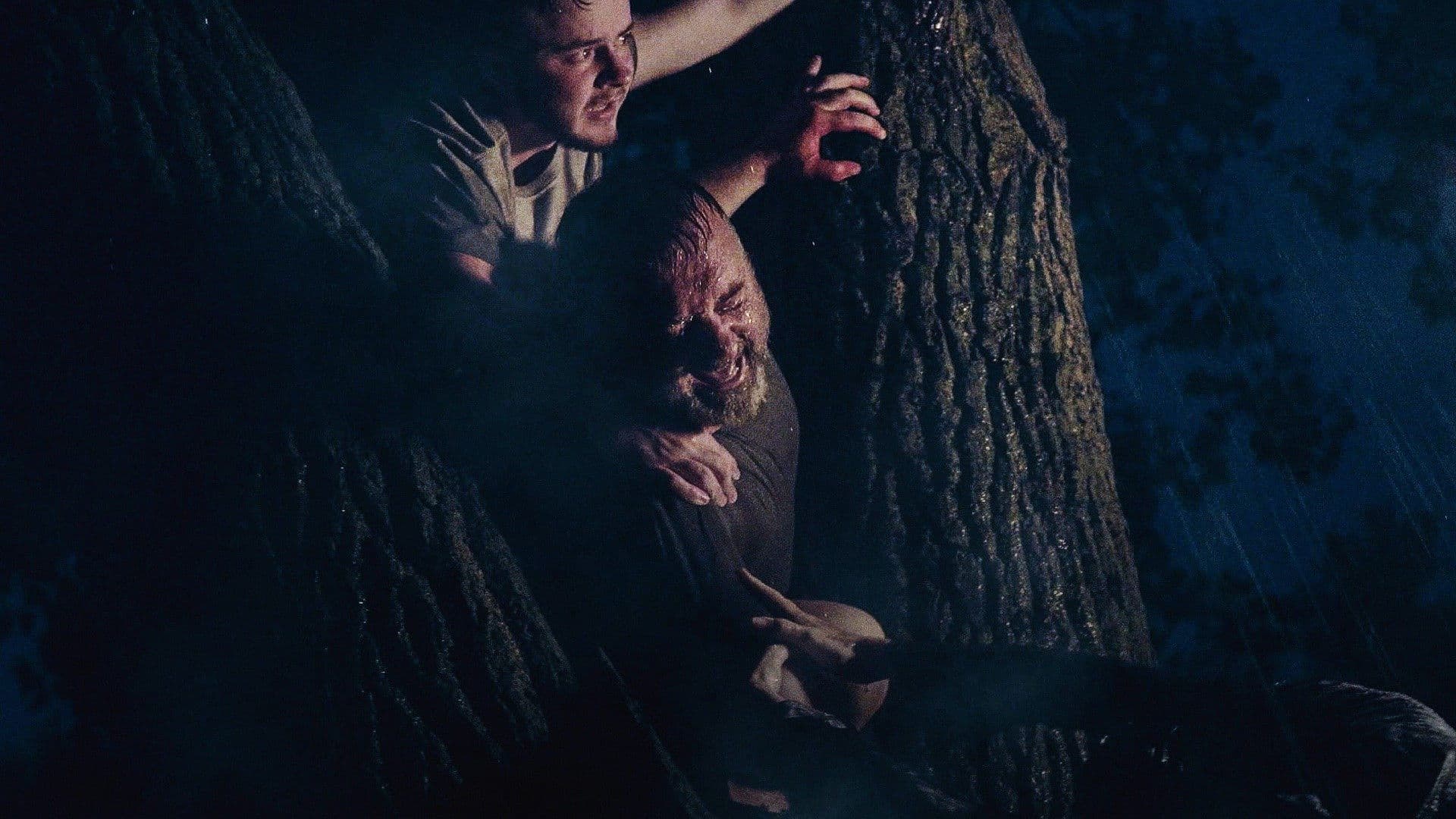 Storm Stories: The Next Chapter