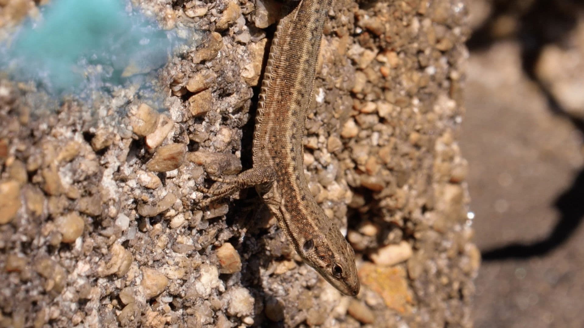 Unha illa no medio do mar