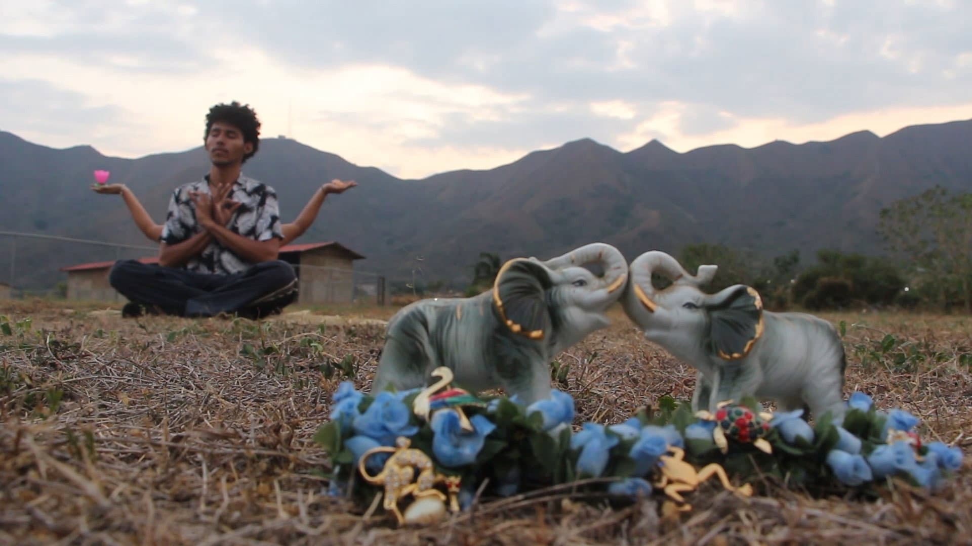 El Fin Del Samsara