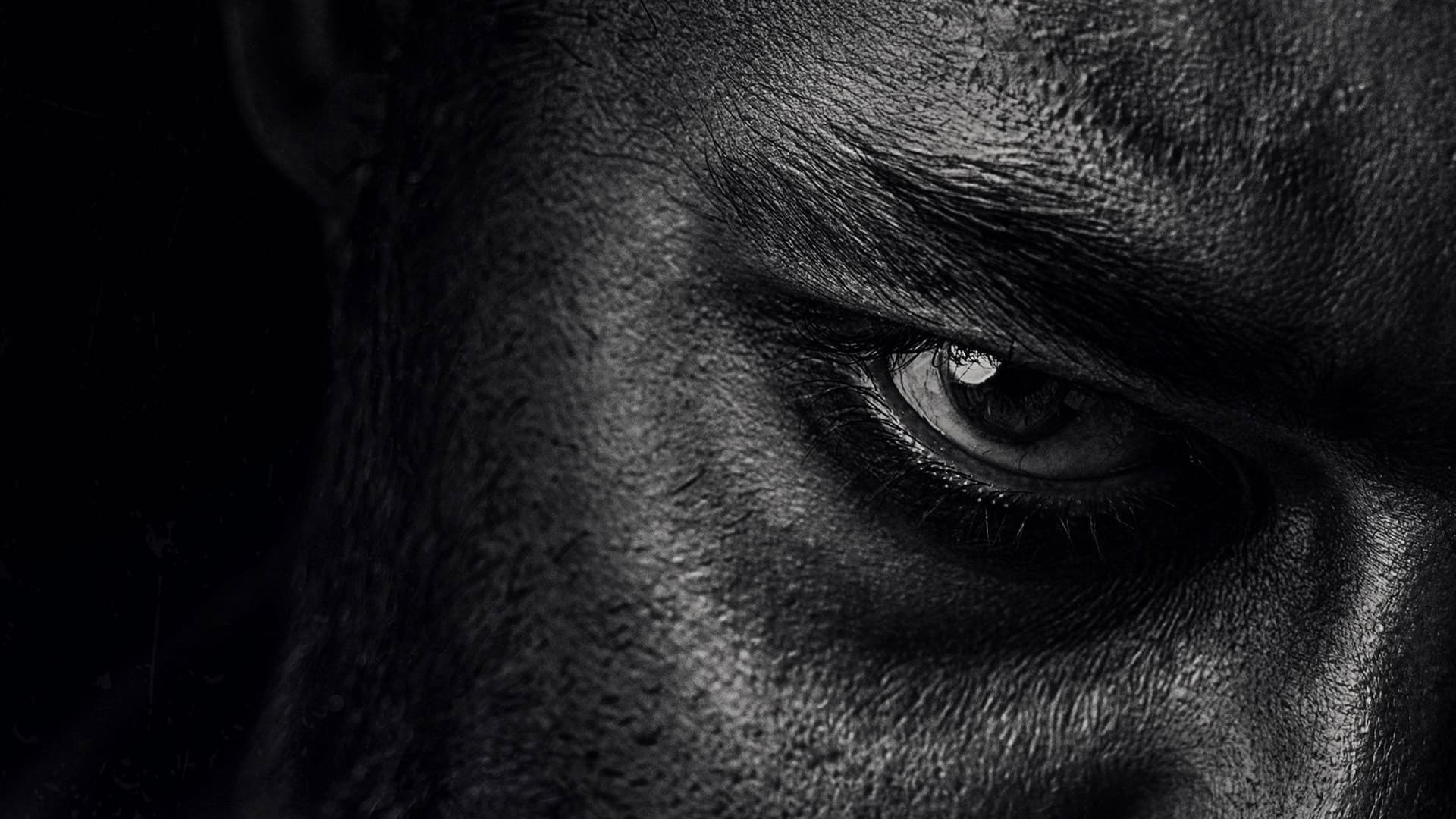 Untitled NTR - Neel Film