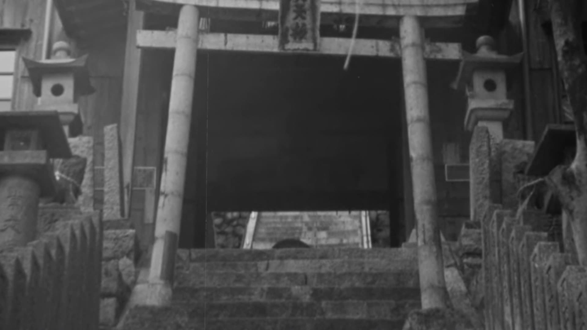 Variations on a Life